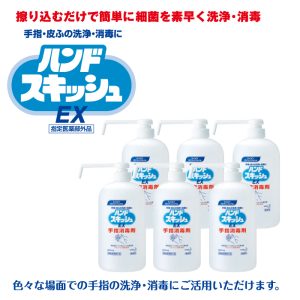 花王 ハンドスキッシュEX ロングノズル 800ml